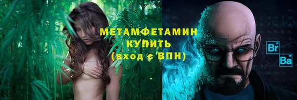 прущие грибы Липки