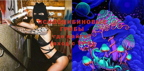 винт Майский