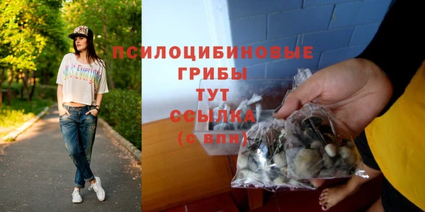 прущие грибы Липки