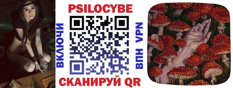 Псилоцибиновые грибы мицелий  Купить  Балашиха 